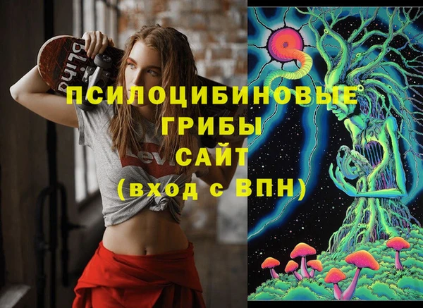 крисы Балахна