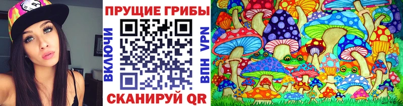Купить где  Бирюсинск  Псилоцибиновые грибы MAGIC MUSHROOMS 